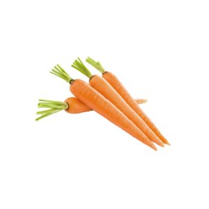 Carrot